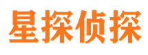 定安调查事务所